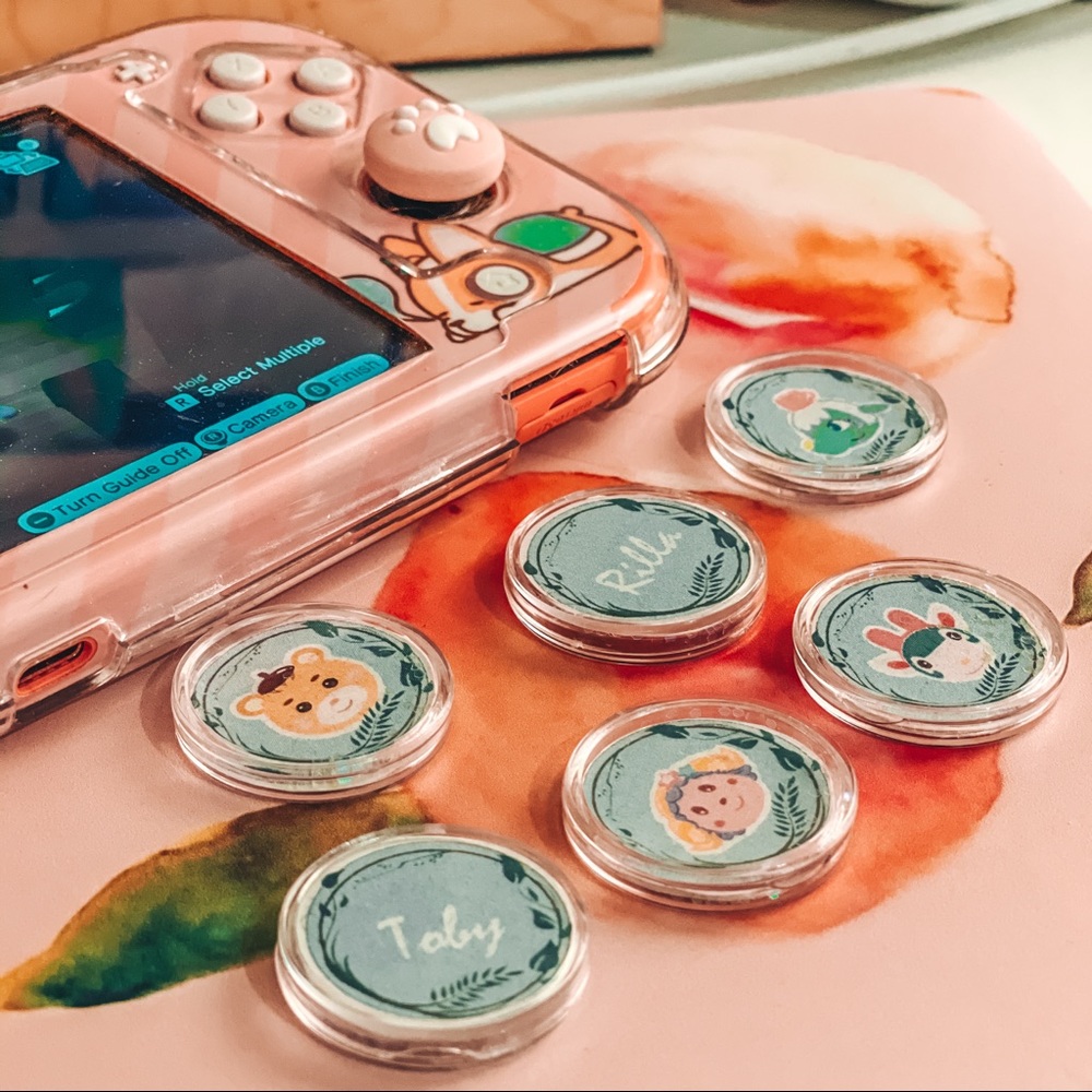 Animal Crossing Sanrio Amiibo Coins